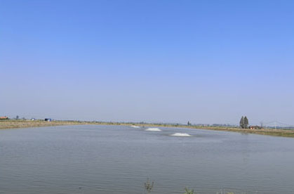 大沙湖养殖基地