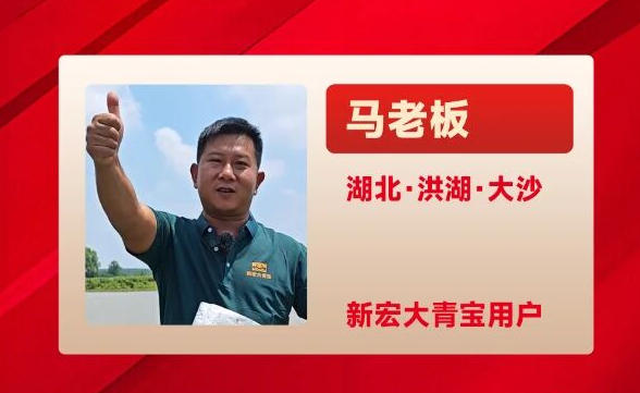 湖北洪湖大沙马老板，新宏大青宝2025年喜报